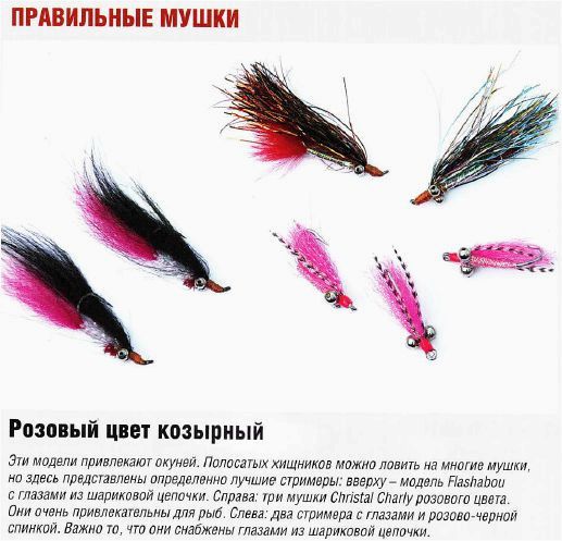 Ловля окуня нахлыстом