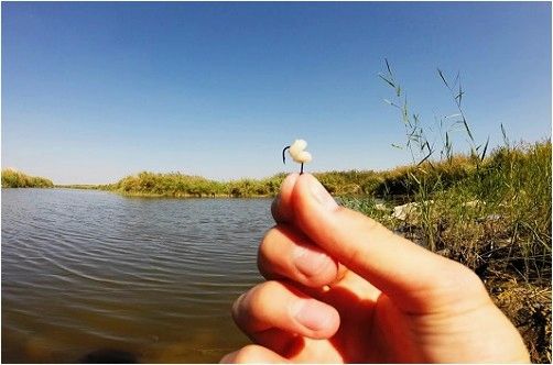 Лучшие приманки для ловли в проводку