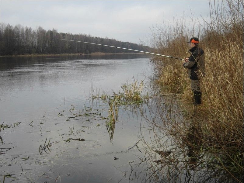 Накануне зимы: ловля по открытой воде