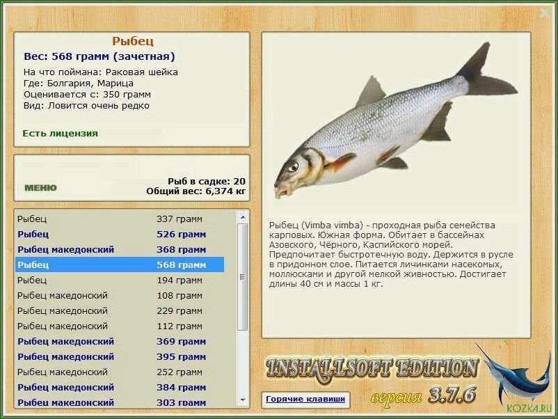 Рыба рыбец блюдо