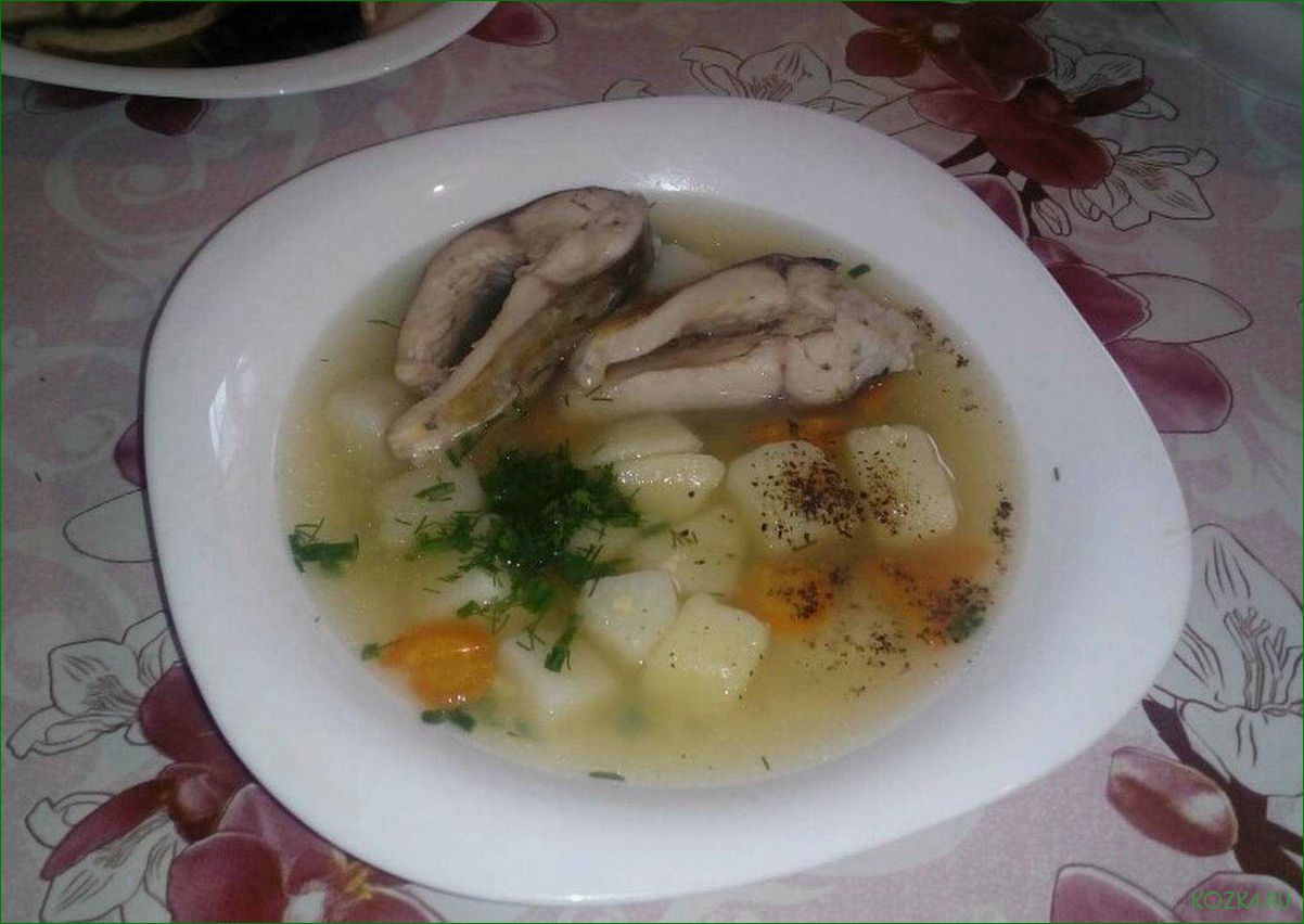 (рыбный, щукой) Рыбный суп с щукой