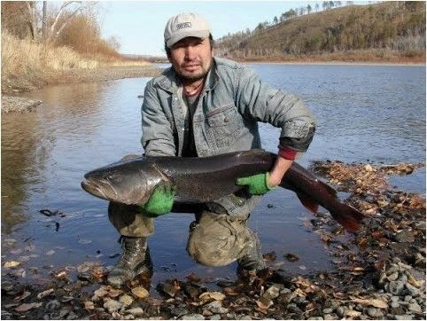 Рыбалка на реке Онон