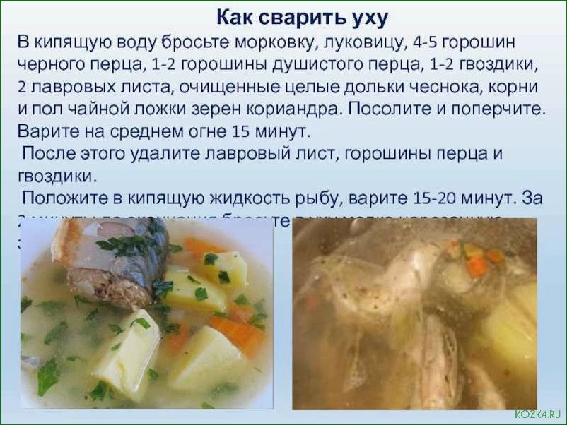 Виды ухи рыбной