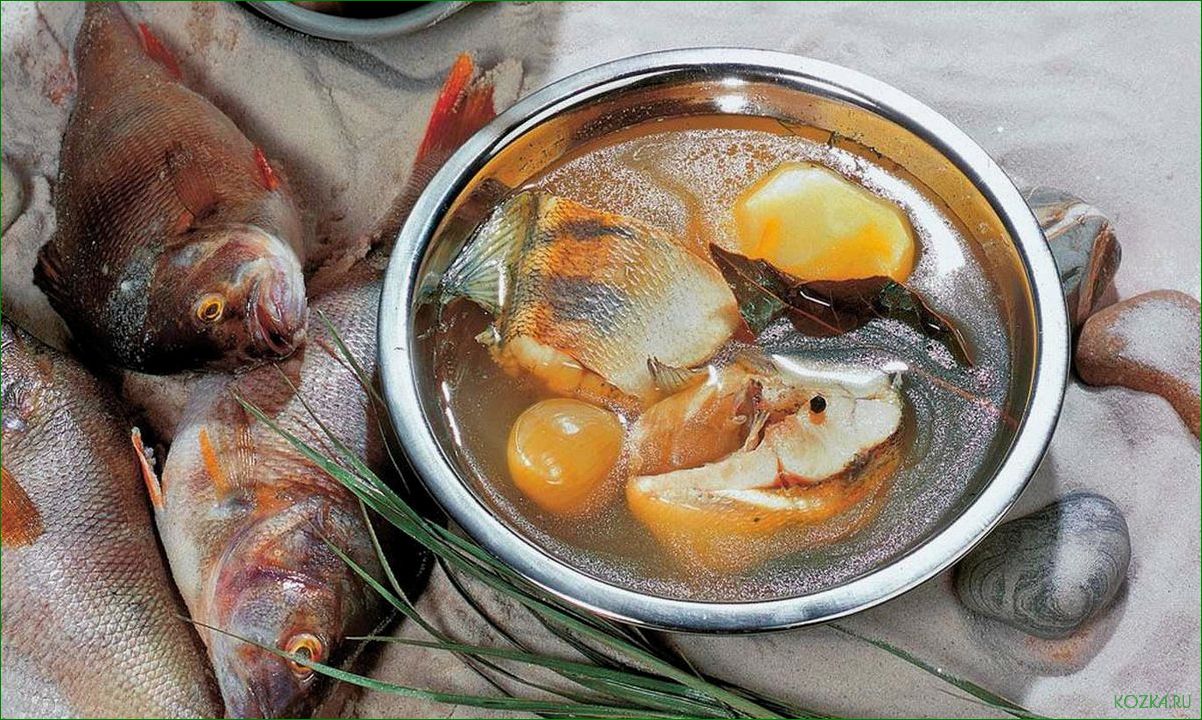 Виды ухи рыбной