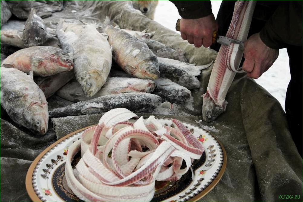 (блюда, рыбы, севера) Блюда из рыбы севера