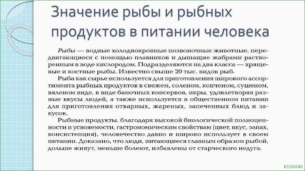 Значение блюд из рыбы