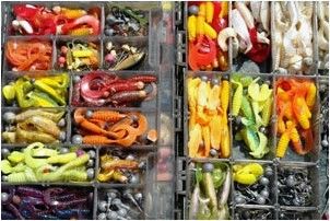 Какой цвет приманок для ловли рыбы лучше?