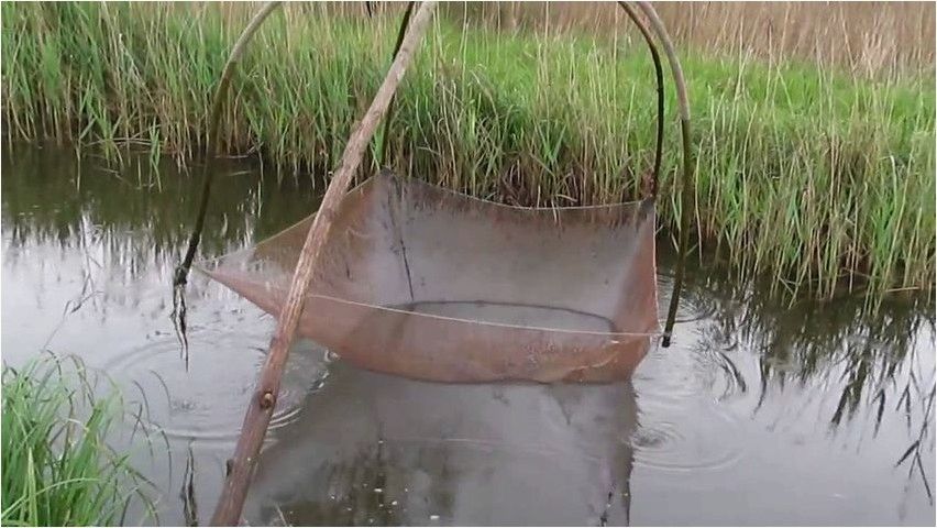 Ловля рыбы Пауком
