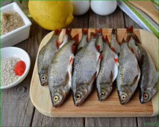 (рыба, сорога, блюда, рецепты, секреты) Рыба сорога: блюда, рецепты и секреты приготовления