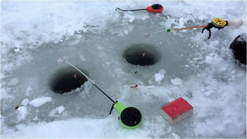 На водоем за крупной рыбой. Как поймать карпа со льда?