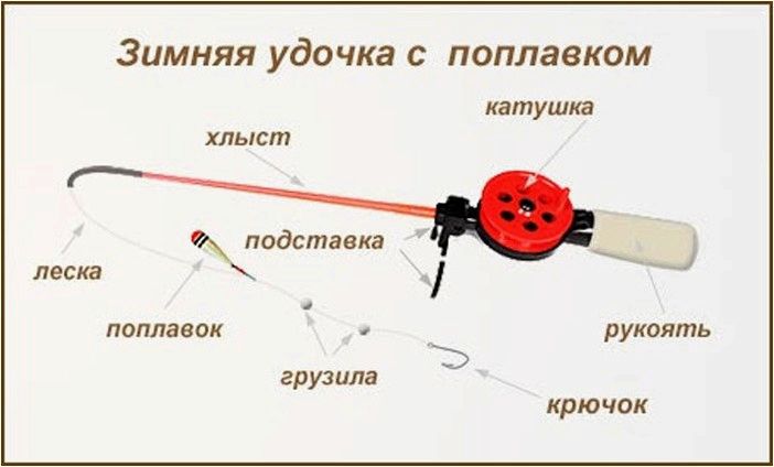 На водоем за крупной рыбой. Как поймать карпа со льда?