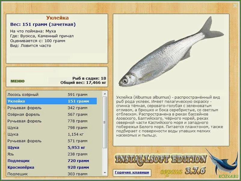 Рыба уклейка: рецепты и советы по приготовлению