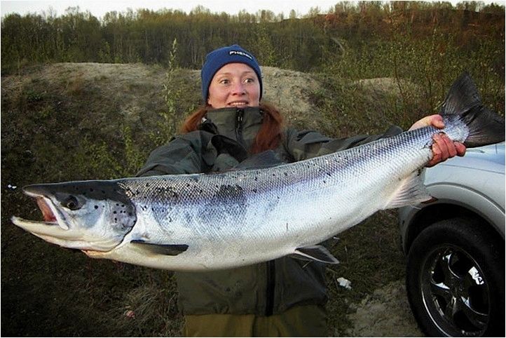 Особенности ловли семги, секреты успешной рыбалки