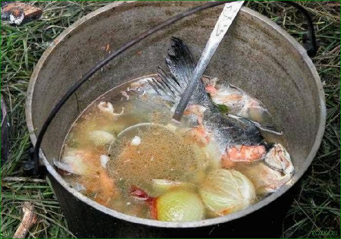 Рыбный суп из плотвы