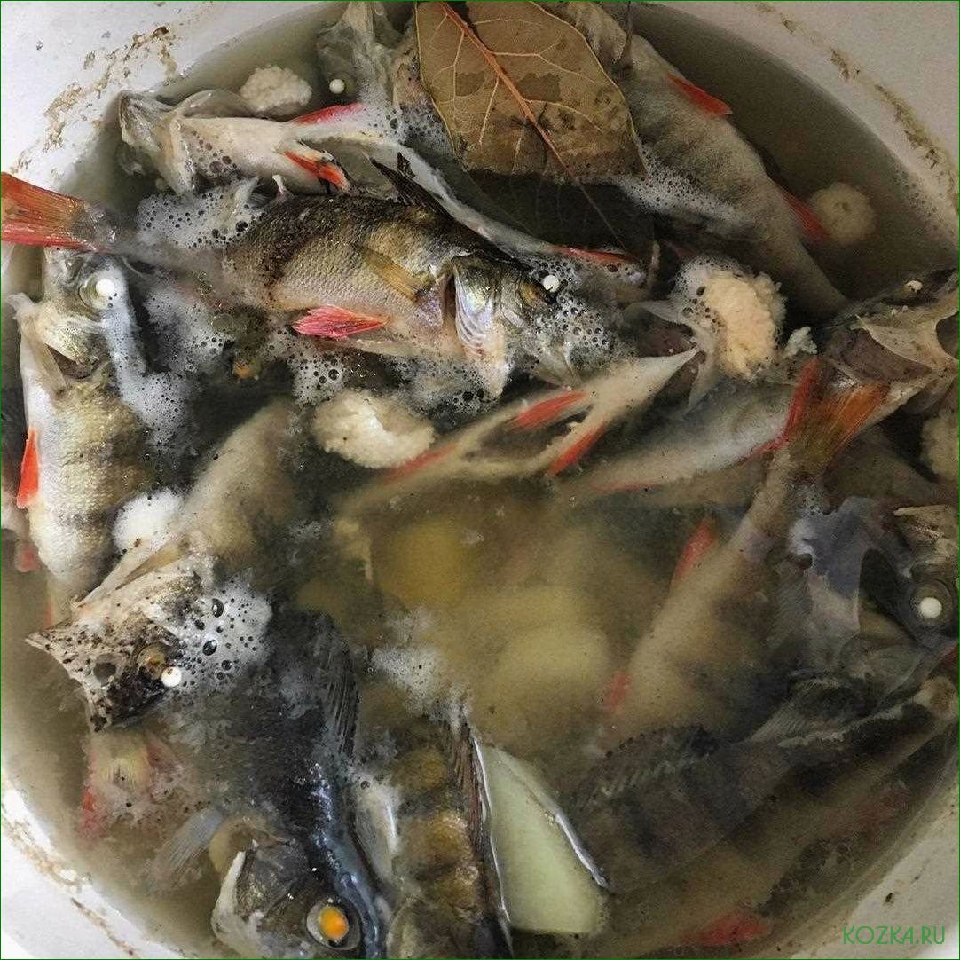 Рыбный суп из плотвы