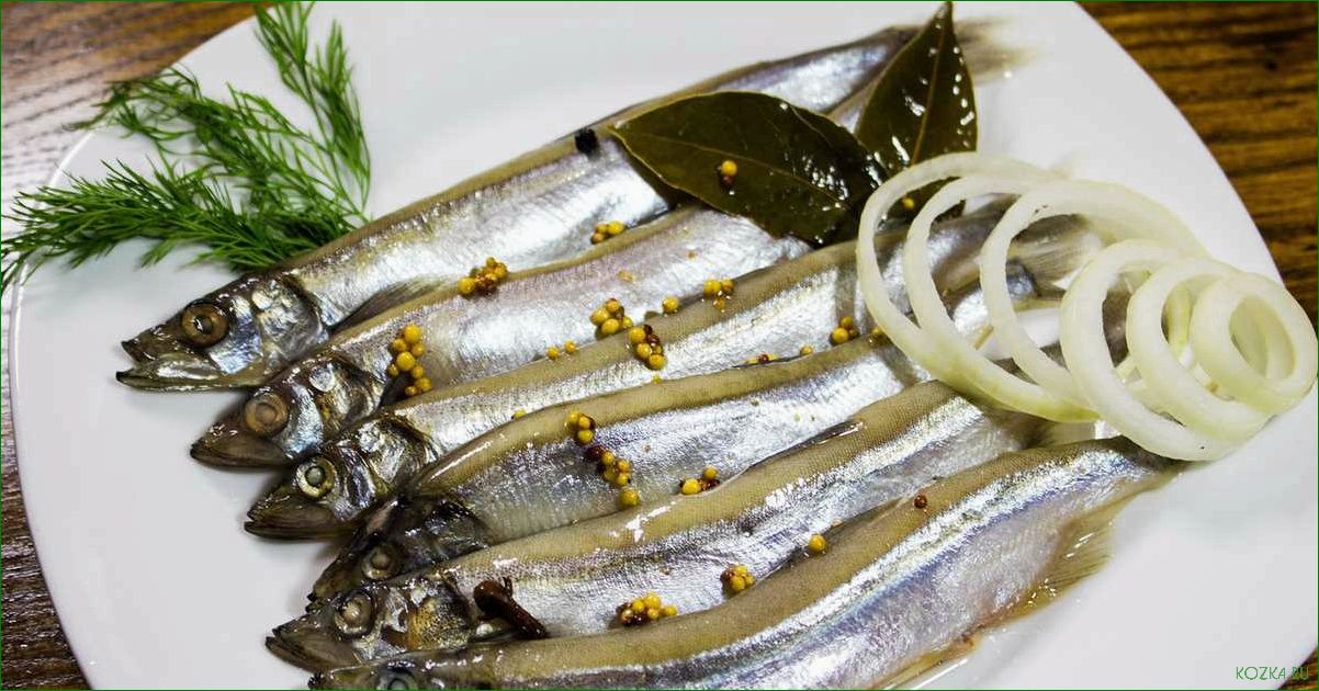 Рыба хамса: вкусное блюдо для всей семьи