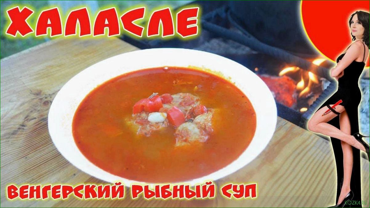 (рецепт, рыбного, супа, халасле) Рецепт рыбного супа халасле
