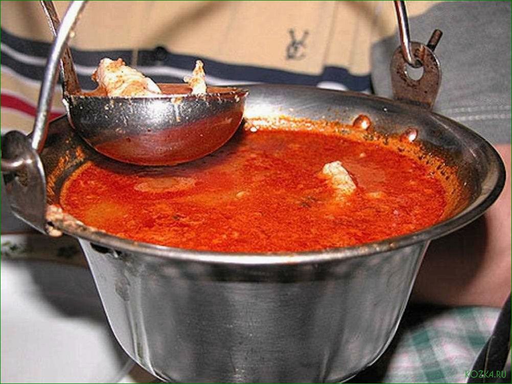 (рецепт, рыбного, супа, халасле) Рецепт рыбного супа халасле
