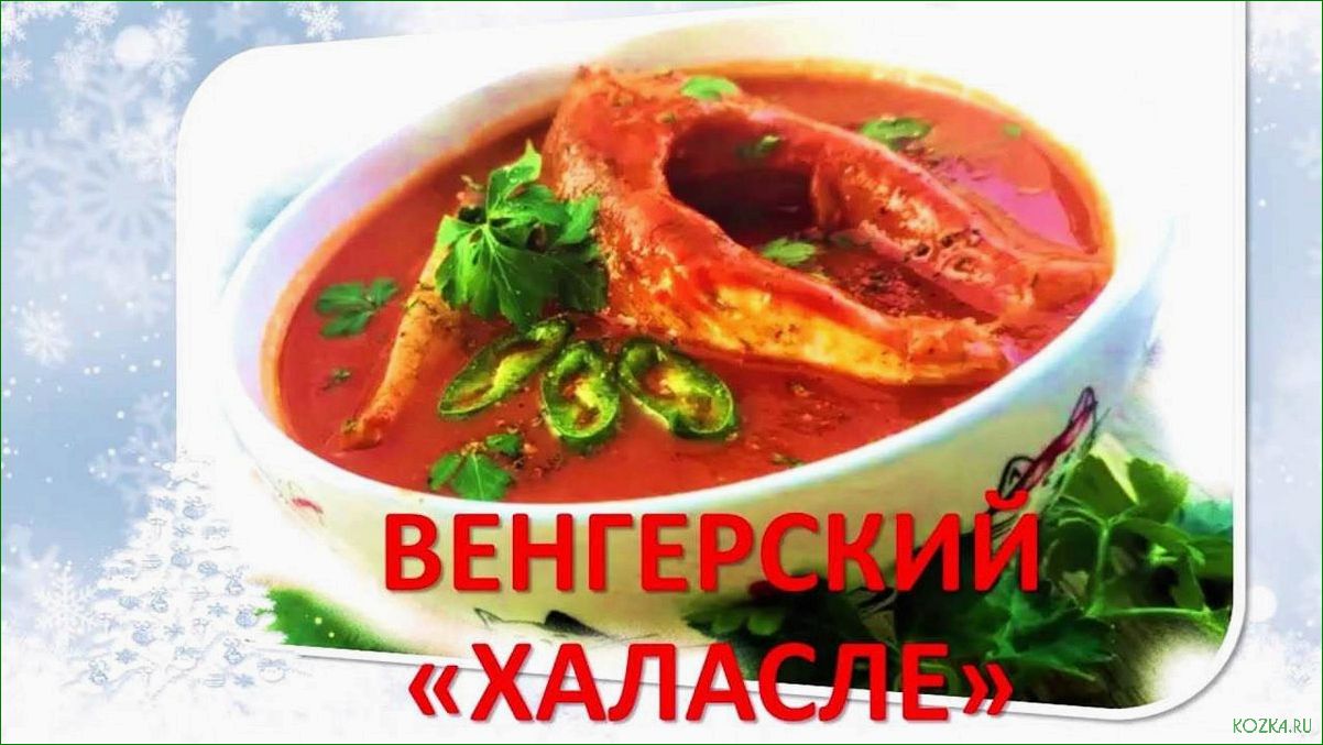 (рецепт, рыбного, супа, халасле) Рецепт рыбного супа халасле