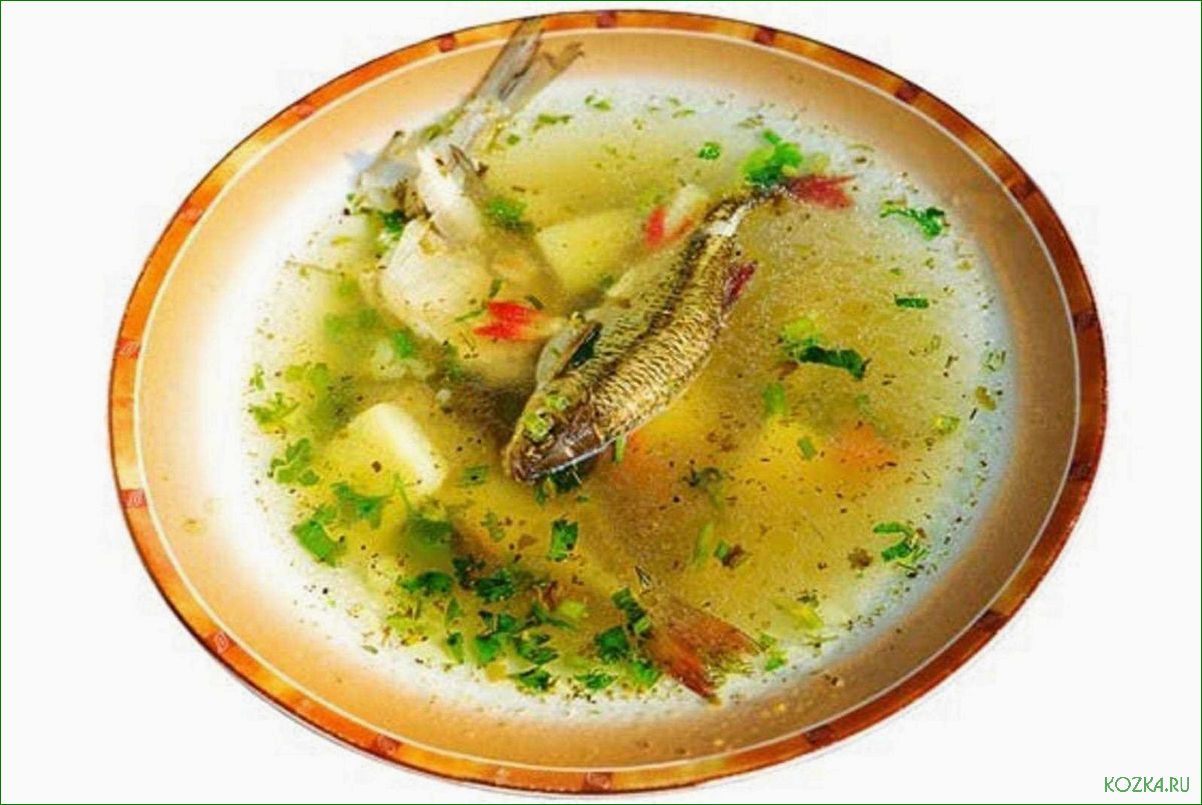(рыбные, блюда, вкусные, супы) Рыбные блюда: вкусные супы уха