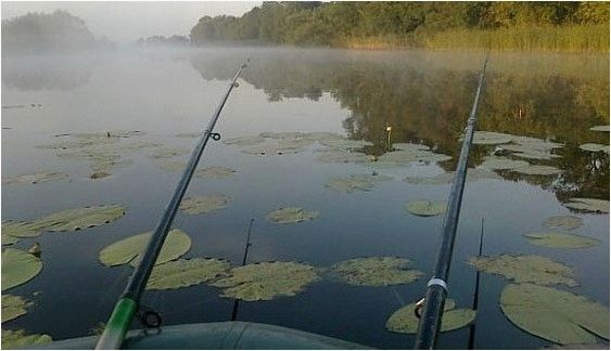 (современная, поплавочная, удочка) Современная поплавочная удочка
