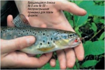 Техника ловли форели в ручье, снасти, места обитания