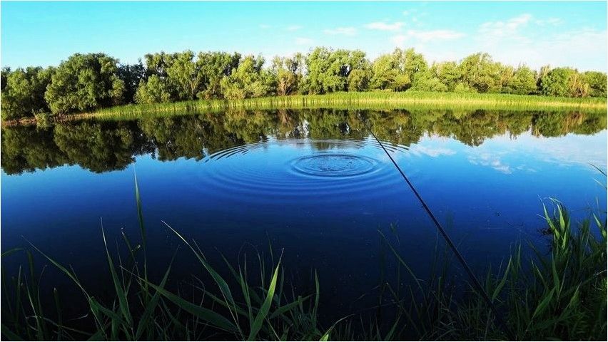 (полезных, лайфхаков, рыбалки, летом) Топ 10 полезных лайфхаков для рыбалки летом