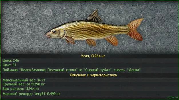 (усач, рыба, рецепты, блюд, полезные) Усач рыба: рецепты блюд и полезные свойства