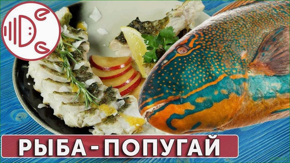 Рецепт блюда из рыбы попугая