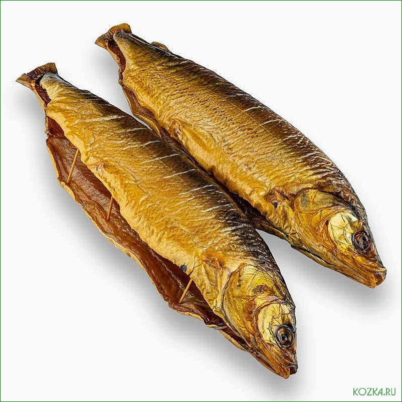 Блюда с пелядью: лучшие рецепты