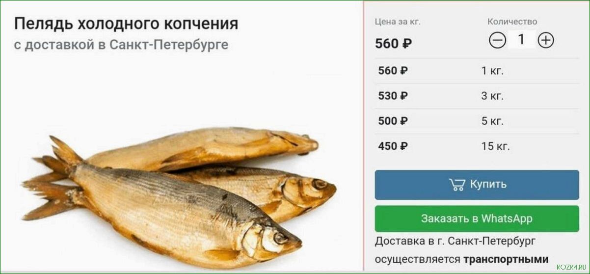 Блюда с пелядью: лучшие рецепты