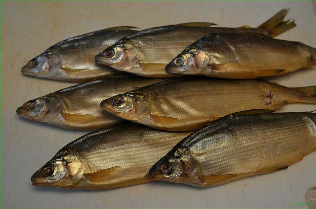 Блюда с пелядью: лучшие рецепты