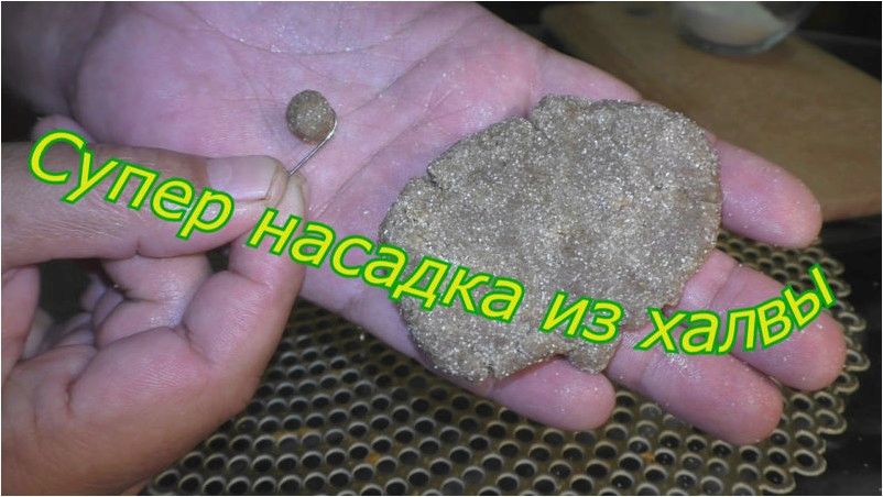 Великолепная насадка для ловли белорыбицы