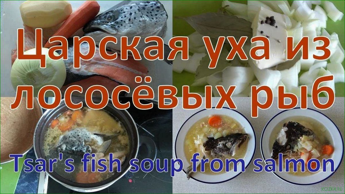 Диета рыбная уха