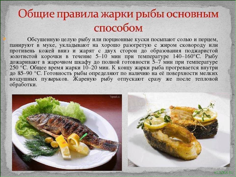 (особенности, преимущества, блюд, приготовленных, свежей) Особенности и преимущества блюд, приготовленных из свежей рыбы
