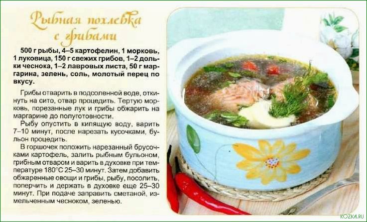 Рыбный суп для котов