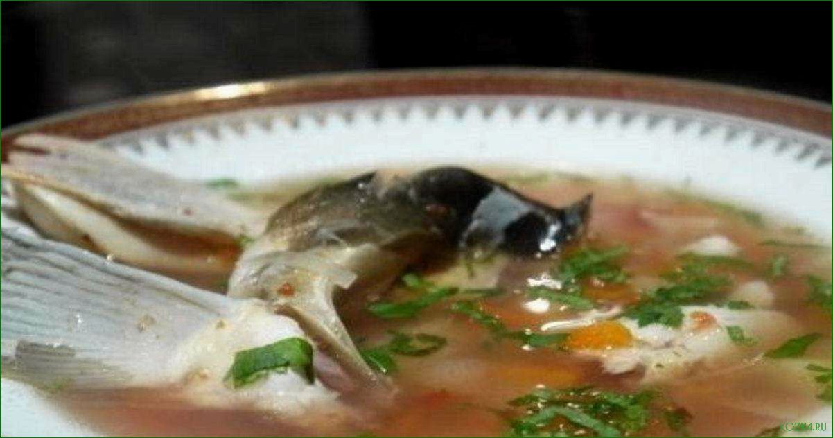 (рыбный, линя) Рыбный суп из линя