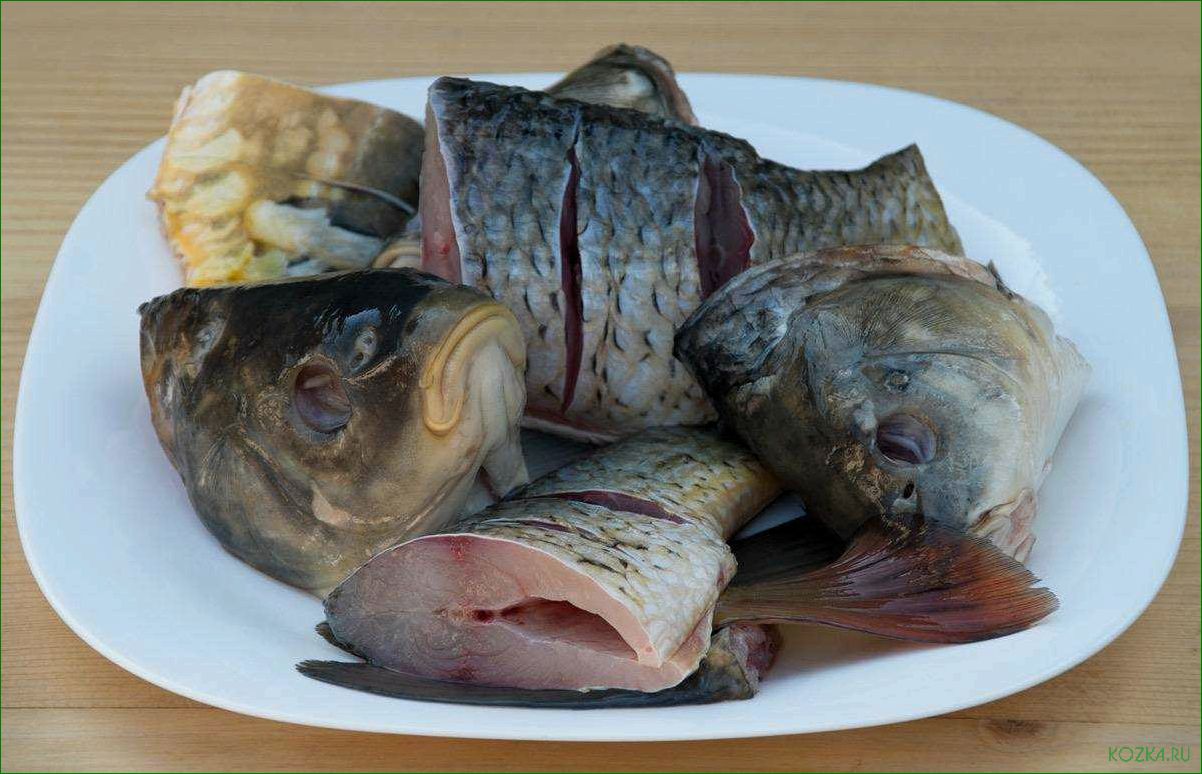 Рецепт ухи из рыбных костей