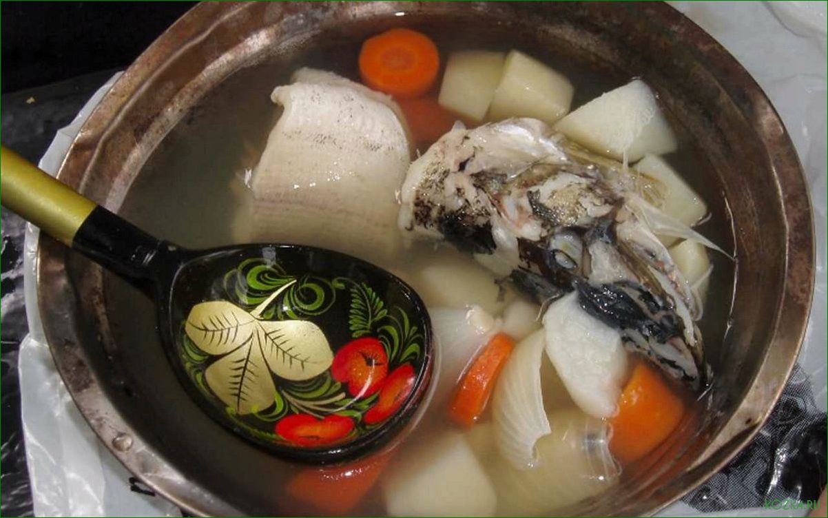 Рецепт ухи из рыбных костей