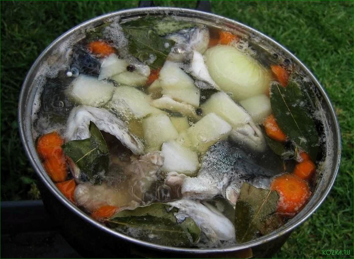 (правильно, варить, рыбный) Как правильно варить рыбный уха