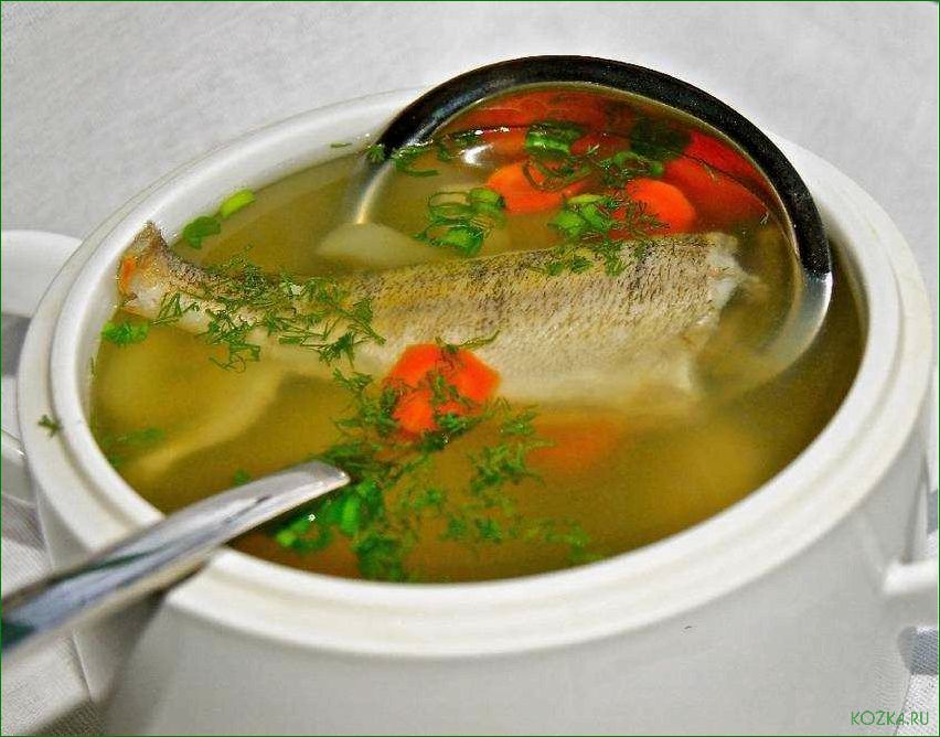 (правильно, варить, рыбный) Как правильно варить рыбный уха