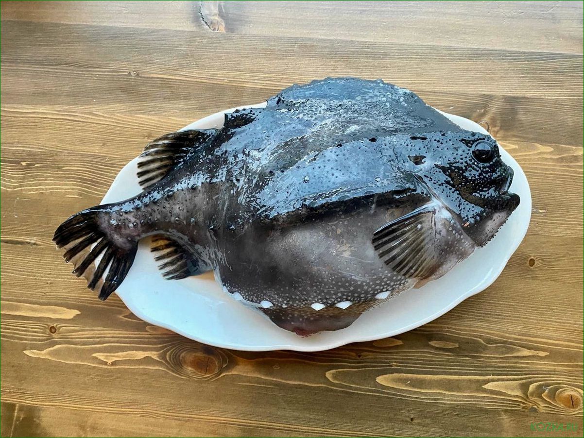 (пинагор, рыба, вкусные, блюда, гурманов) Пинагор рыба: вкусные блюда для гурманов