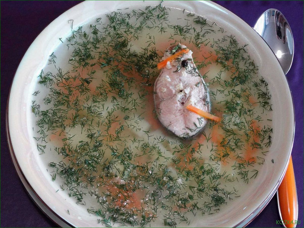 Приготовление вкусного и полезного рыбного супа