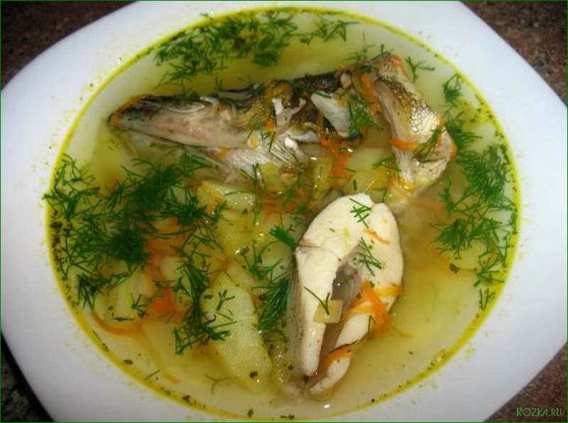 Приготовление вкусного и полезного рыбного супа