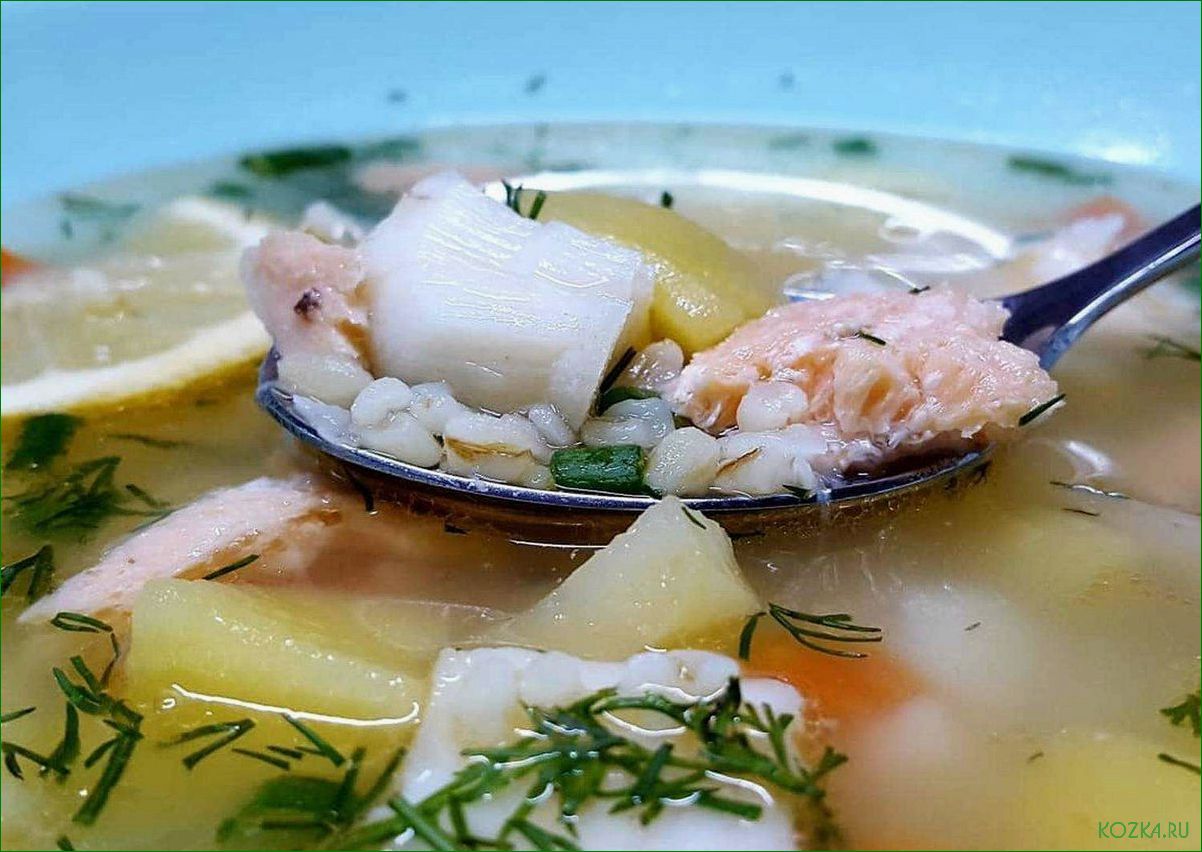 (полезный, сытный, рецепт, овсяного, рыбного) Полезный и сытный рецепт овсяного рыбного супа для здоровья и наслаждения