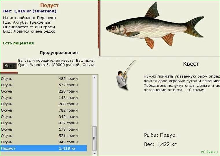(подуст, рыба, лучшие, блюда, рецепты) Подуст рыба: лучшие блюда и рецепты