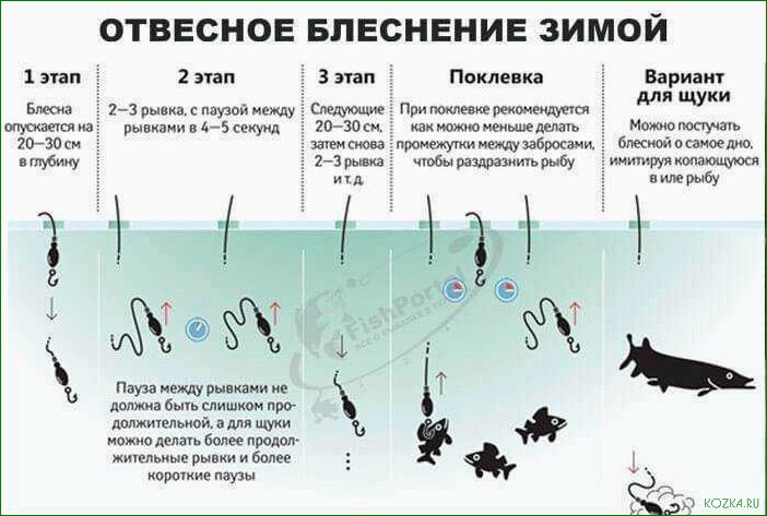 (блесна, рыба, разнообразие, видов, особенности) Блесна рыба — разнообразие видов, особенности и эффективные способы ловли