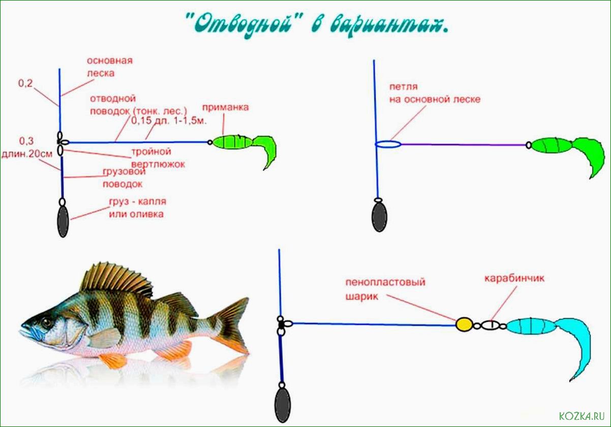 (блесна, рыба, разнообразие, видов, особенности) Блесна рыба — разнообразие видов, особенности и эффективные способы ловли