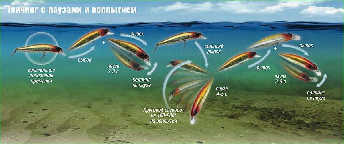Кастинг воблер — ключевые секреты выбора и мастерство правильной техники для успешной рыбалки