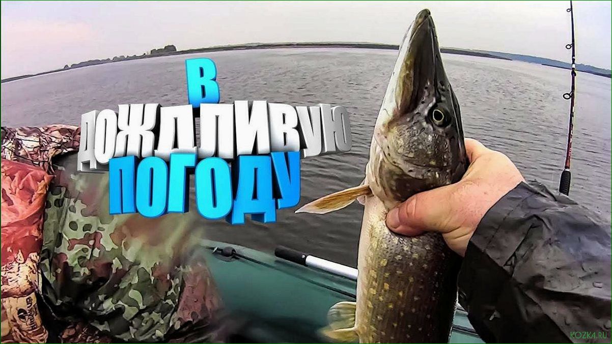 Мультики для воблеров — новый тренд в рыболовстве 